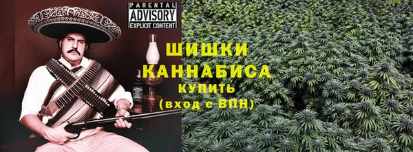 ГАЛЛЮЦИНОГЕННЫЕ ГРИБЫ Верхний Тагил