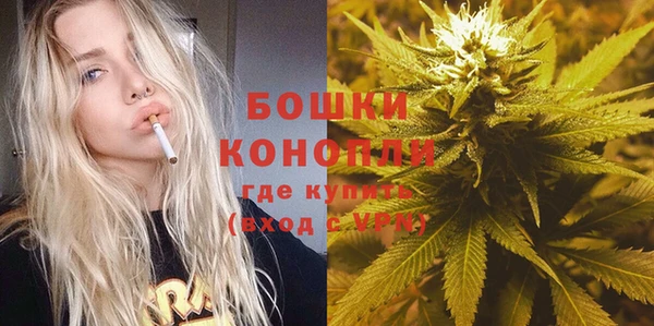 крисы Верея