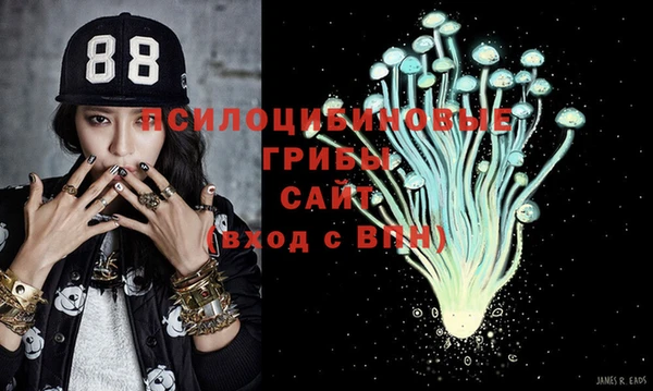 крисы Верея
