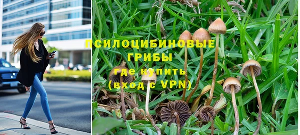 ГАЛЛЮЦИНОГЕННЫЕ ГРИБЫ Верхний Тагил