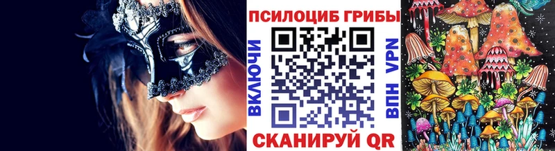 Псилоцибиновые грибы Psilocybe  продажа наркотиков  это какой сайт  Новошахтинск 